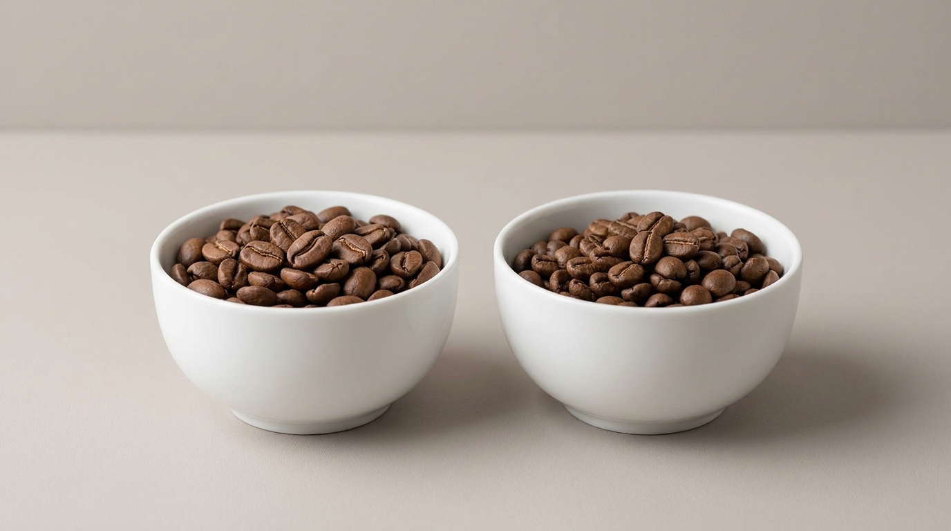 Arabica ve Robusta çekirdek karşılaştırması